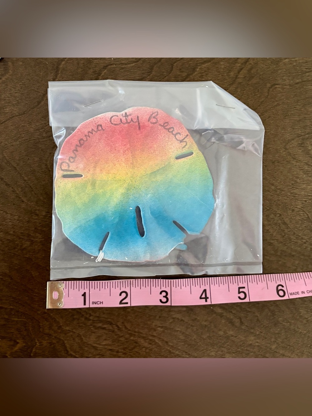 hand-painted rainbow watercolor souvenir sand dollar Panama City Beach Florida - Picture 2 of 3